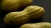 US Approves Asthma Drug to Treat Food Allergies