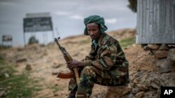 Mpiganaji wa Tigray 