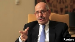 Mohamed El-Baradei speaks during an interview in his Cairo home, November 24, 2012 file photo. 