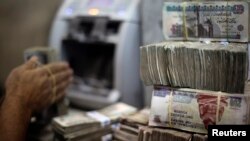 FILE - An employee counts money at an exchange office in downtown Cairo, Egypt.