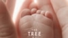 Award-Winning Film Explores Meaning of Life