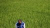 Mobile Phones Help Farmers Feed Their Fields