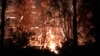Hawaii Volcano Gushes Lava After Powerful Earthquake