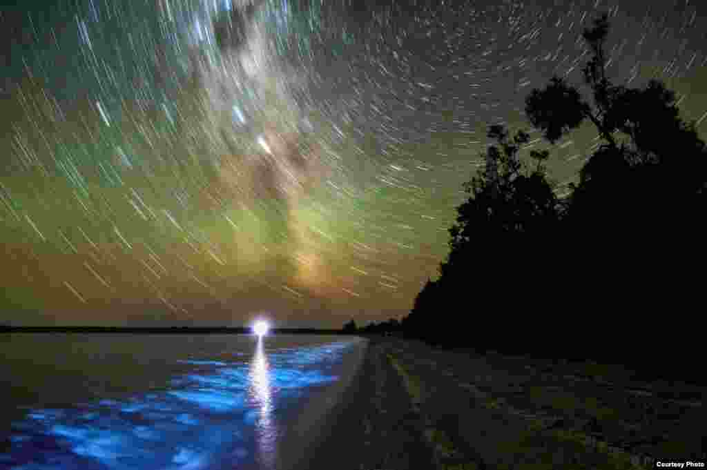 "Bioluminescence and Star Trails" (Pendaran Alam dan Jejak Bintang) oleh Phil Hart (www.philhart.com). (Courtesy: twanight.org/contest)
