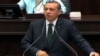 اردوغان با تعدادی از معترضین دیدار کرد 