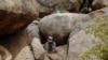 South Sudan Accuses Sudan of More Airstrikes 