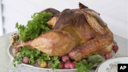 Millones de estadounidenses sirven el pavo como pieza central de su cena de Acción de Gracias.