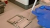 New Techniques Let Scientists Study Cells 
