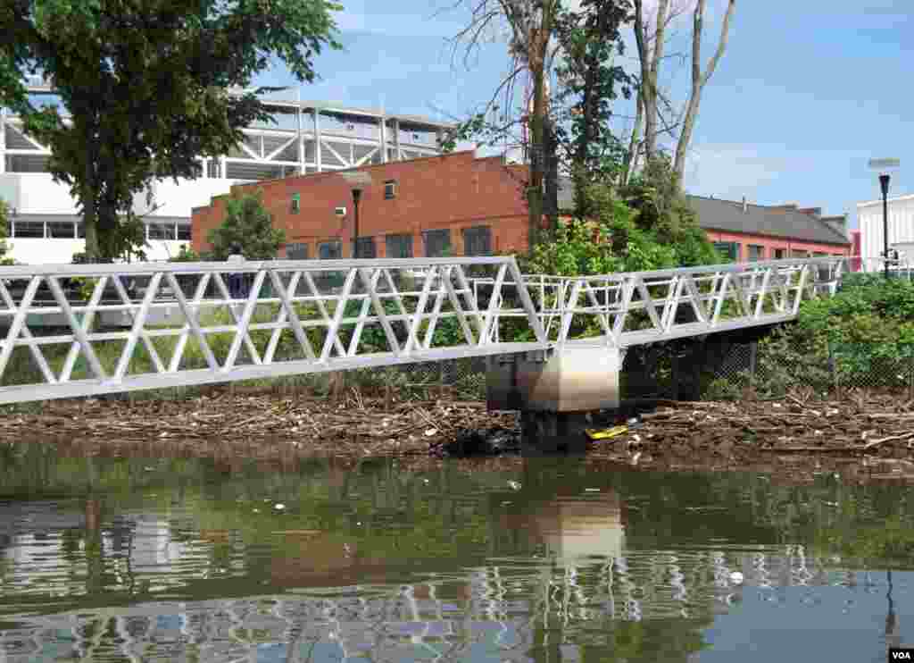 Sampah yang berserakan di Sungai Anacostia, bagian yang disebuh berbahaya karena kontaminasi dari limbah tersebut. (VOA/Rosanne Skirble)