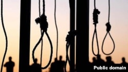 گروه‌های حقوق بشر گفته است که در سال ۲۰۲۳ کم از کم ۸۳۴ نفر در ایران اعدام شده اند.