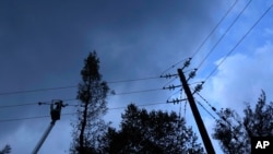 A worker cuts a burn tree next of an electricity poll as work continues to fix power lines near the village Milies on Evia island, about 181 kilometers (113 miles) north of Athens, Greece, Aug. 12, 2021.