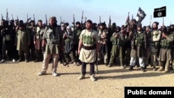 Djihadistes du groupe Etat islamique.