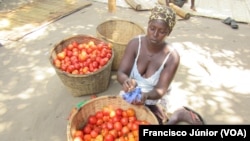 Luisa João, camponesa, Tica, Moçambique