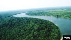 Brasil anunció que la deforestación del Amazonas es la más baja desde 1988.