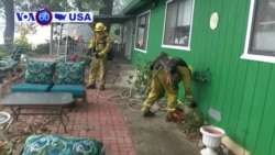 Manchetes Americanas 27 Julho: Estado de Emergência devido a incêndios na Califórnia
