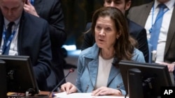 UN Security Council