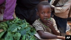 A young boy eats some of the leaves that a market-seller, left, is chopping up for sale at the market in the Bimbo neighborhood of the capital Bangui, Central African Republic, January 1, 2013. 