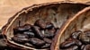 Chocolate: ¿amigo o enemigo?