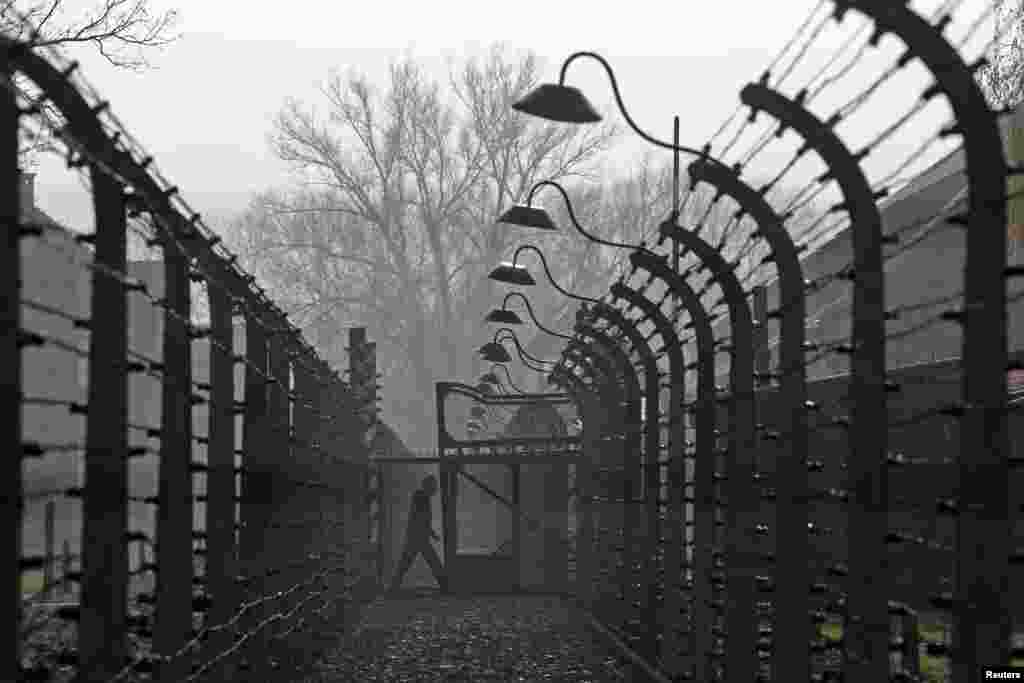 A visitor walks between electric barbed-wired fences at the Auschwitz-Birkenau memorial and former concentration camp, Poland.