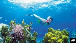 Great Barrier Reef terbentang lebih dari 2.000 kilometer di sepanjang pantai timur laut Australia (foto: Dok). 