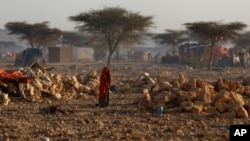Un camp pour personnes déplacées par la sécheresse à Qardho, Somalie (9 mars 2017)