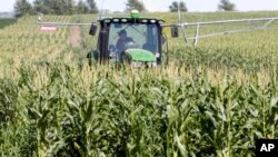 Trump Trade Farmers