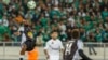 Les demi-finales de la ligue des champions CAF se joueront en aller/retour