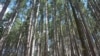 Forest cover, trail density and opportunity for recreation help lure visitors to parks and public lands.