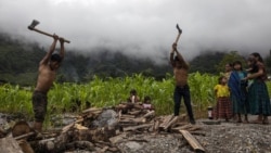 Eduardo Cal Chen, 23, left, and his 20-year-old brother Edgar, chop wood in the makeshift settlement Nuevo Queja, Guatemala, Sunday, July 11, 2021. (AP Photo/Rodrigo Abd)