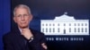 Anthony Fauci, director del Instituto de Enfermedades Alérgicas e Infecciosas, visto durante una sesión informativa sobre COVID-19 en la Casa Blanca el 1 de abril de 2020.
