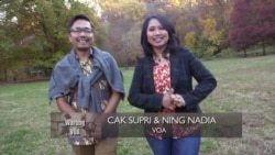 Menyambut Musim Gugur di Amerika (1)