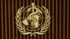 Life Expectancy Gap Widens Between Women in Rich and Poor Countries