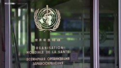 世衛組織先遣小組結束在華磋商