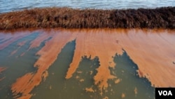 La explosión de la plataforma provocó la fuga al mar de alrededor de 200 millones de galones de crudo