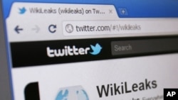 WikiLeaks' Twitter page is seen on a computer screen (File).