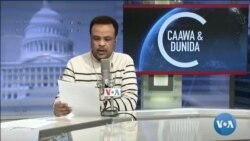 Caawa iyo Dunida