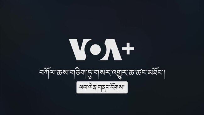 བརྙན་འཕྲིན་འཕྲུལ་ཆས་TVདང་ལག་ཁྱེར་ཁ་པར་ནང་བཀོལ་ཆས།