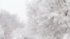 Winter Storm Halts US Holiday Travel