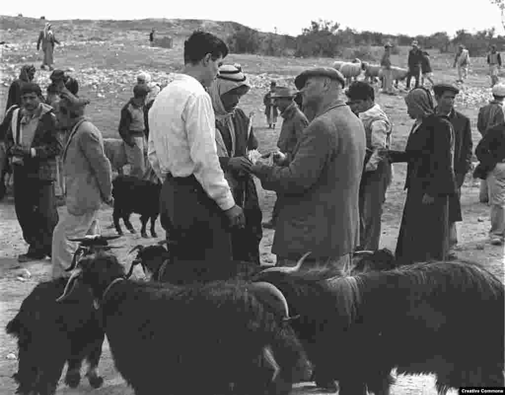 Market Day in the Negev city of Beersheva, 1954
