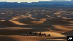 Tourists ride camels in Merzouga, Morocco along what is called the route of a thousand kasbahs in the Atlas Mountains, Sunday, March 5, 2017. 