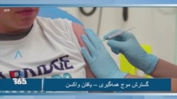 با گرتا ون ساسترن – گسترش بیماری، یافتن واکسن