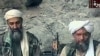 Zawahri: From a Life of Comfort to Hunted Terrorist