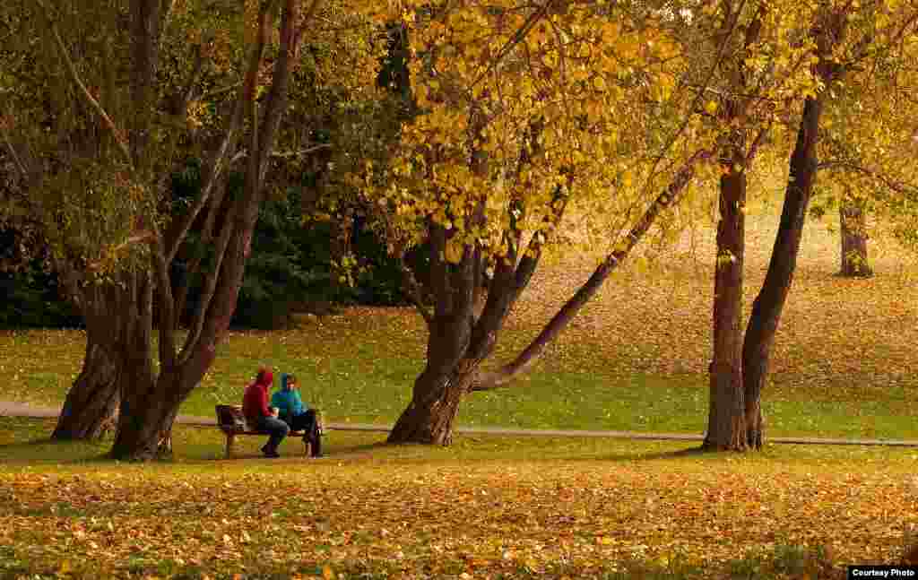 Warna-warni musim gugur di Taman Konfederasi di Calgary, Alberta, Kanada (foto diambil oleh pembaca VOA Cuong Pham/Kanada)
