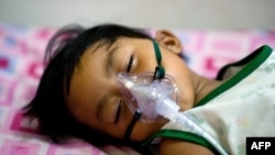 Seorang anak laki-laki yang terkena demam dengue dirawat di Rumah Sakit Quirino di Quezon city, Filipina.