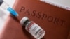 EU Official Warns of Risks of Disjointed COVID Vaccine Records 