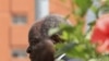 Kenya Cabinet Reshuffle Changes Presidential Race