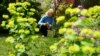 Fight Tension, Boredom with a Container Garden