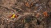 Brésil: Vale va payer 7 milliards de dollars de compensation pour la catastrophe de Brumadinho