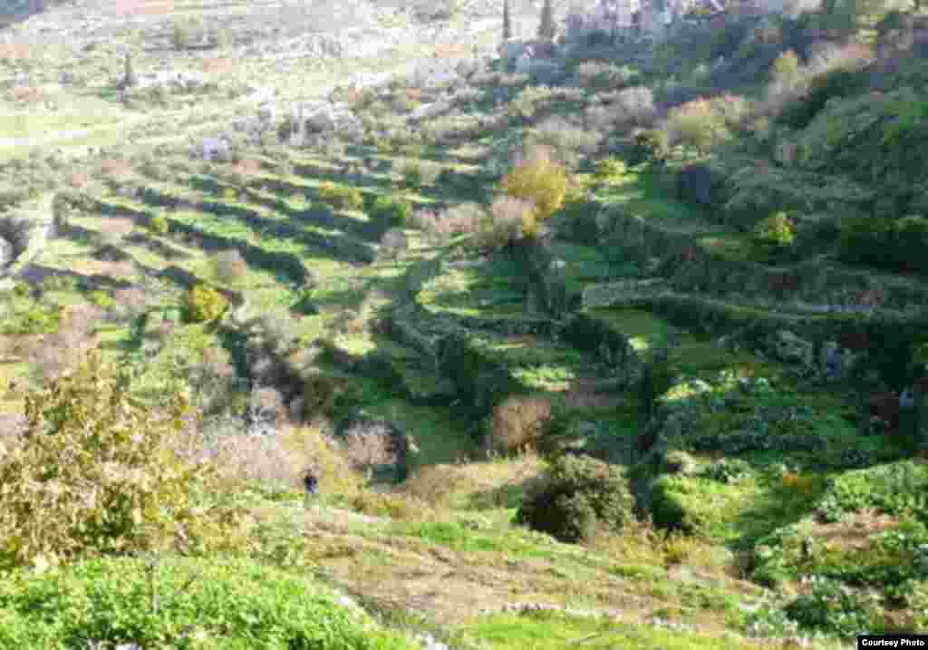 Seçici boykotu