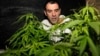 Uruguay Gives Pharmacies Green Light to Start Selling Marijuana